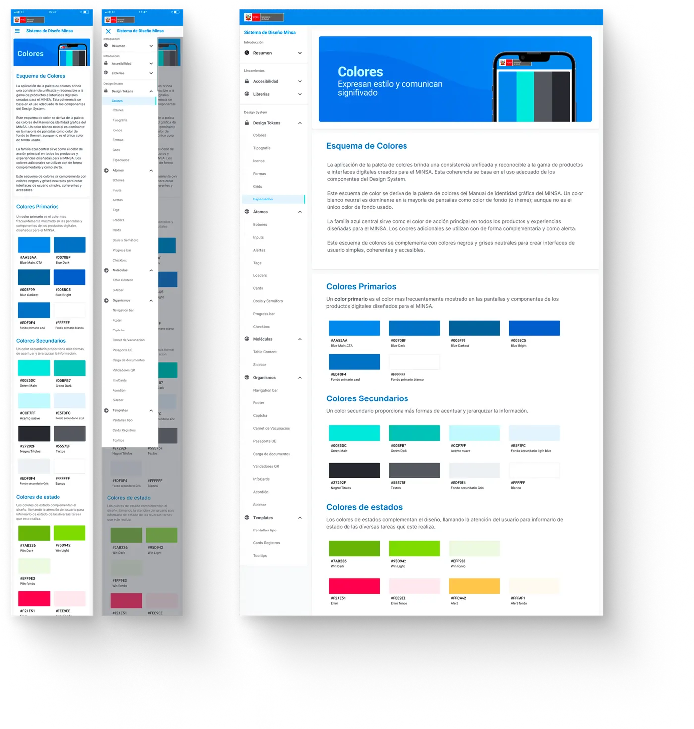 MINSA system tokens and guidelines.